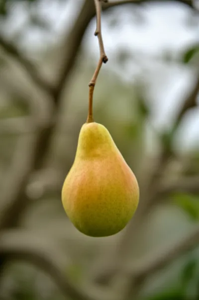 Illustration pendent - Image 1