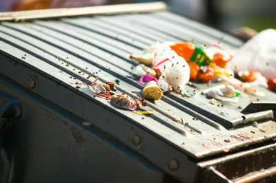 Illustration obscene - Image 1