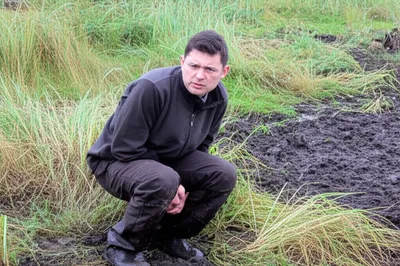 Illustration bogs - Image 1