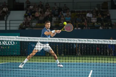 Illustration serves - Image 1