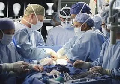 Illustration operate - Image 2