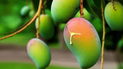 Illustration gatherings - Image 1