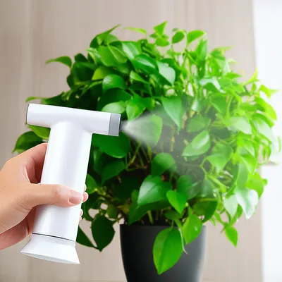 Illustration mister - Image 1