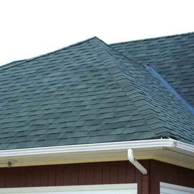 Illustration hips - Image 1