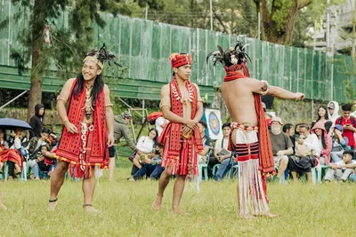 Illustration dances - Image 2