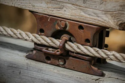 Illustration rendering - Image 1