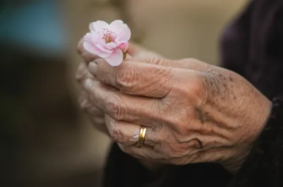 Illustration wrinkly - Image 1