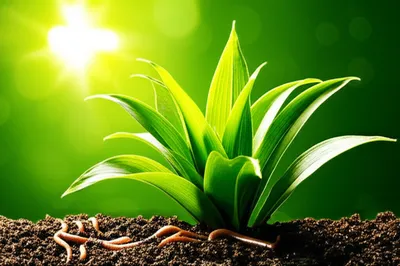 Illustration loves - Image 1