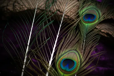 Illustration wires - Image 1