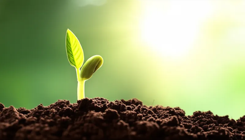 Ilustración visual de la palabra "became" - Llegar, venir