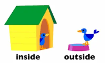 Illustration inside - Image 2