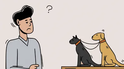 Illustration misidentified - Image 1