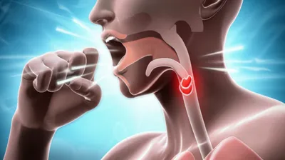 Hình ảnh minh họa windpipe - Ảnh 1