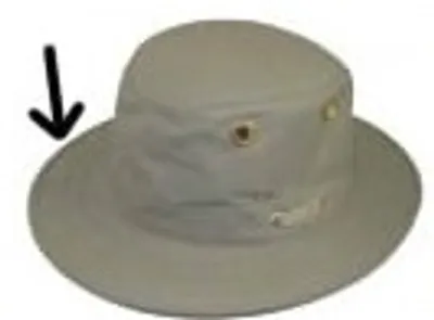 Illustration brim - Image 2