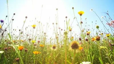 Illustration inspiring - Image 1