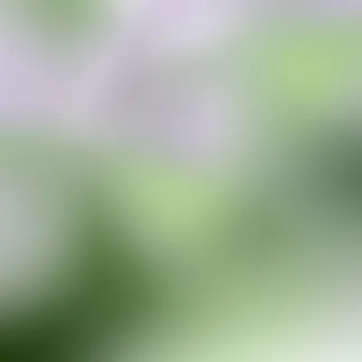 Illustration vague - Image 1