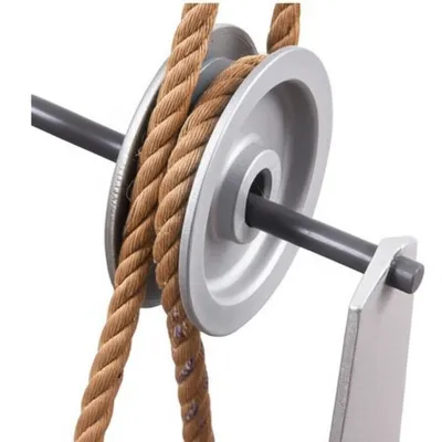 Illustration shive - Image 1