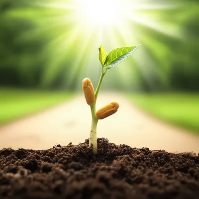 Illustration young - Image 1