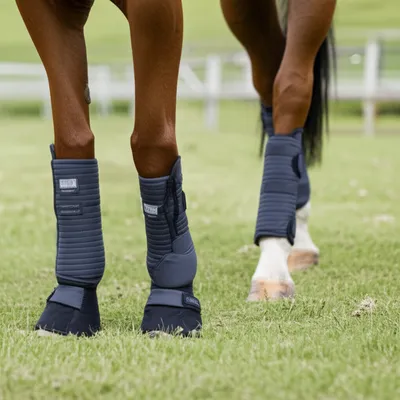 Illustration spats - Image 1