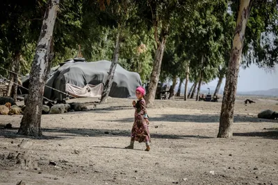 Illustration encamped - Image 2