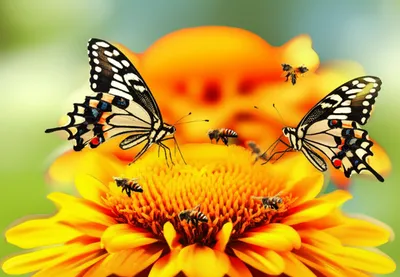 Illustration attracting - Image 1