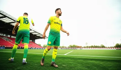 Hình ảnh minh họa sub - Ảnh 1