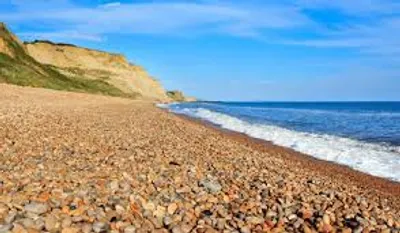 Illustration shingle - Image 2