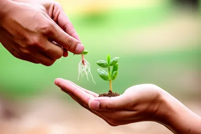 Illustration responded - Image 1