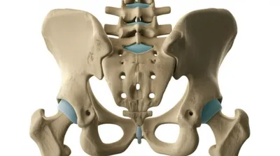 Illustration sacra - Image 1