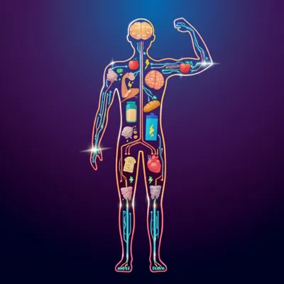 Illustration metabolised