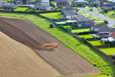 Illustration ac - Image 1