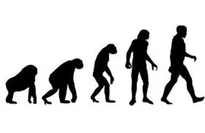 Illustration evolutionary - Image 3