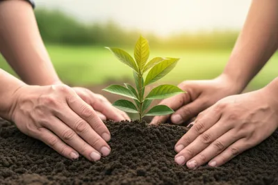 Illustration us - Image 1