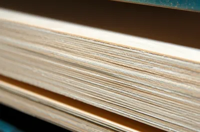 Illustration plies - Image 1