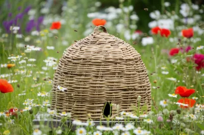 Illustration skep - Image 1