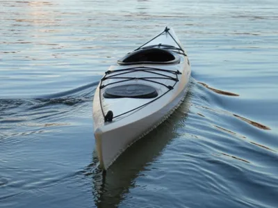 Illustration tails - Image 1