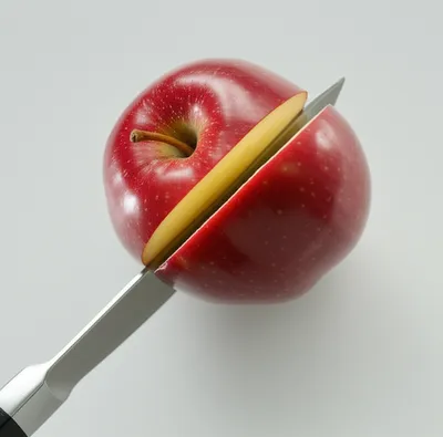 Illustration divides - Image 1