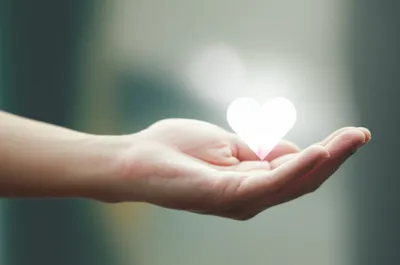 Illustration contributor