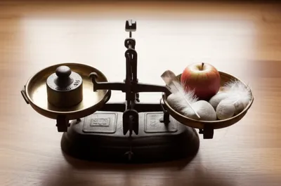 Illustration lb - Image 1