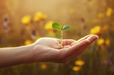 Illustration nourishes - Image 1