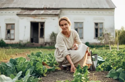 Illustration gentler - Image 1