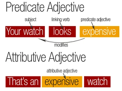 Illustration attribute - Image 2