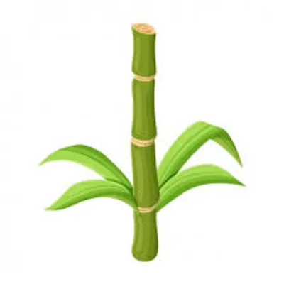 Illustration whip - Image 3