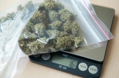 Illustration weights - Image 1