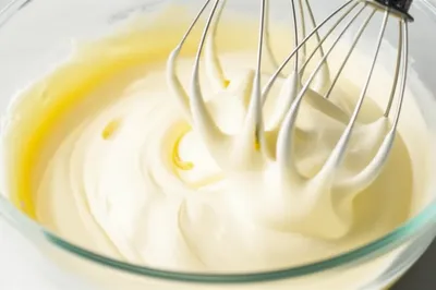 Illustration whip - Image 1