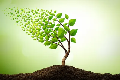 Illustration weaken - Image 1