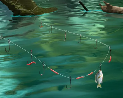 Illustration outlines - Image 1