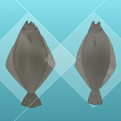 Illustration rhombus - Image 1