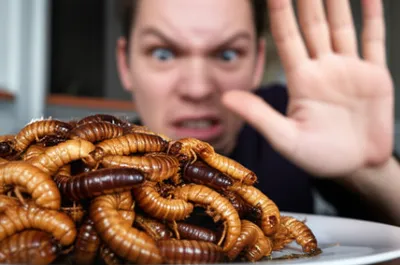 Illustration antipathetic