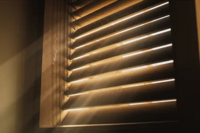 Illustration lover - Image 1